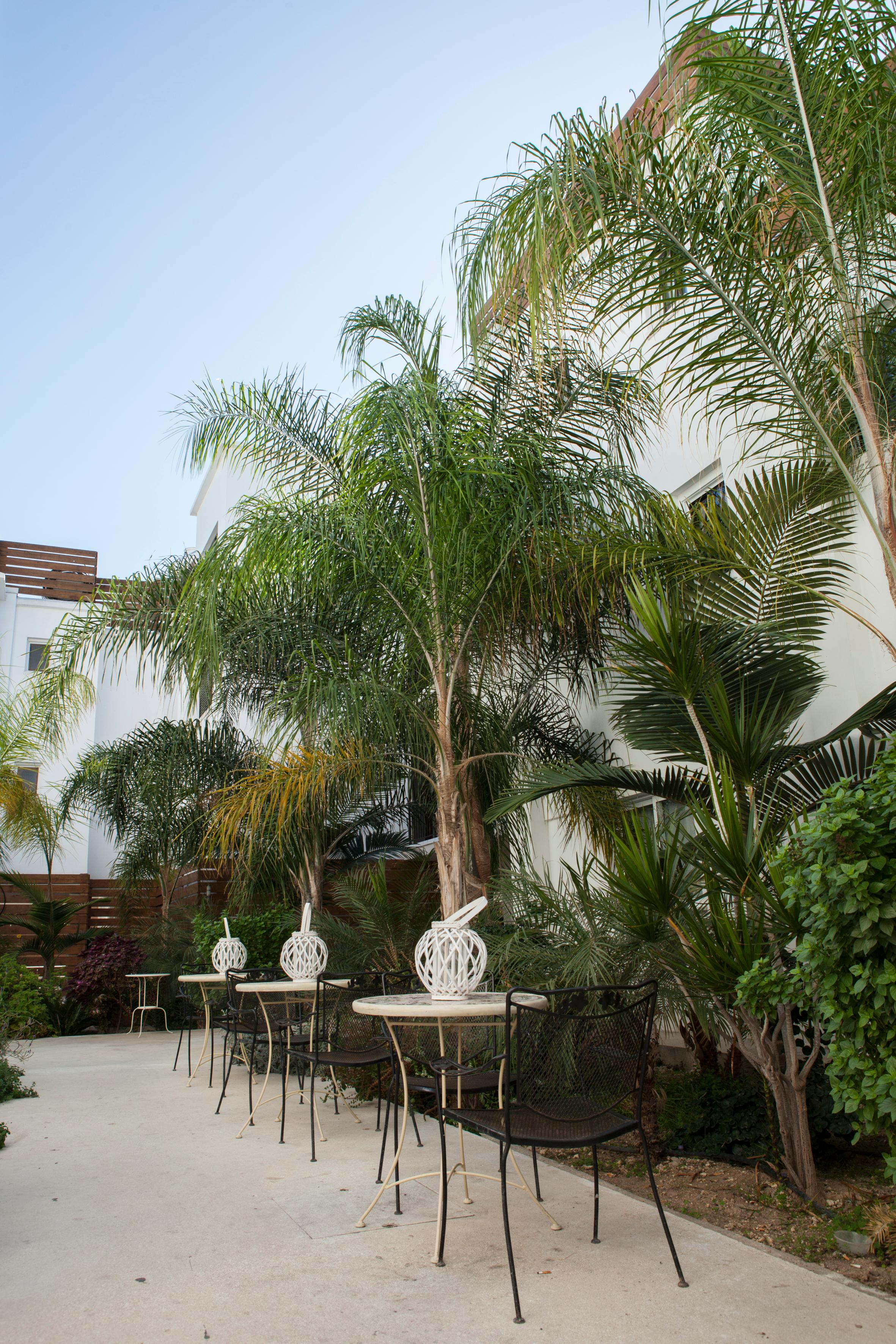 Alecos Hotel Apartments Paphos Bagian luar foto